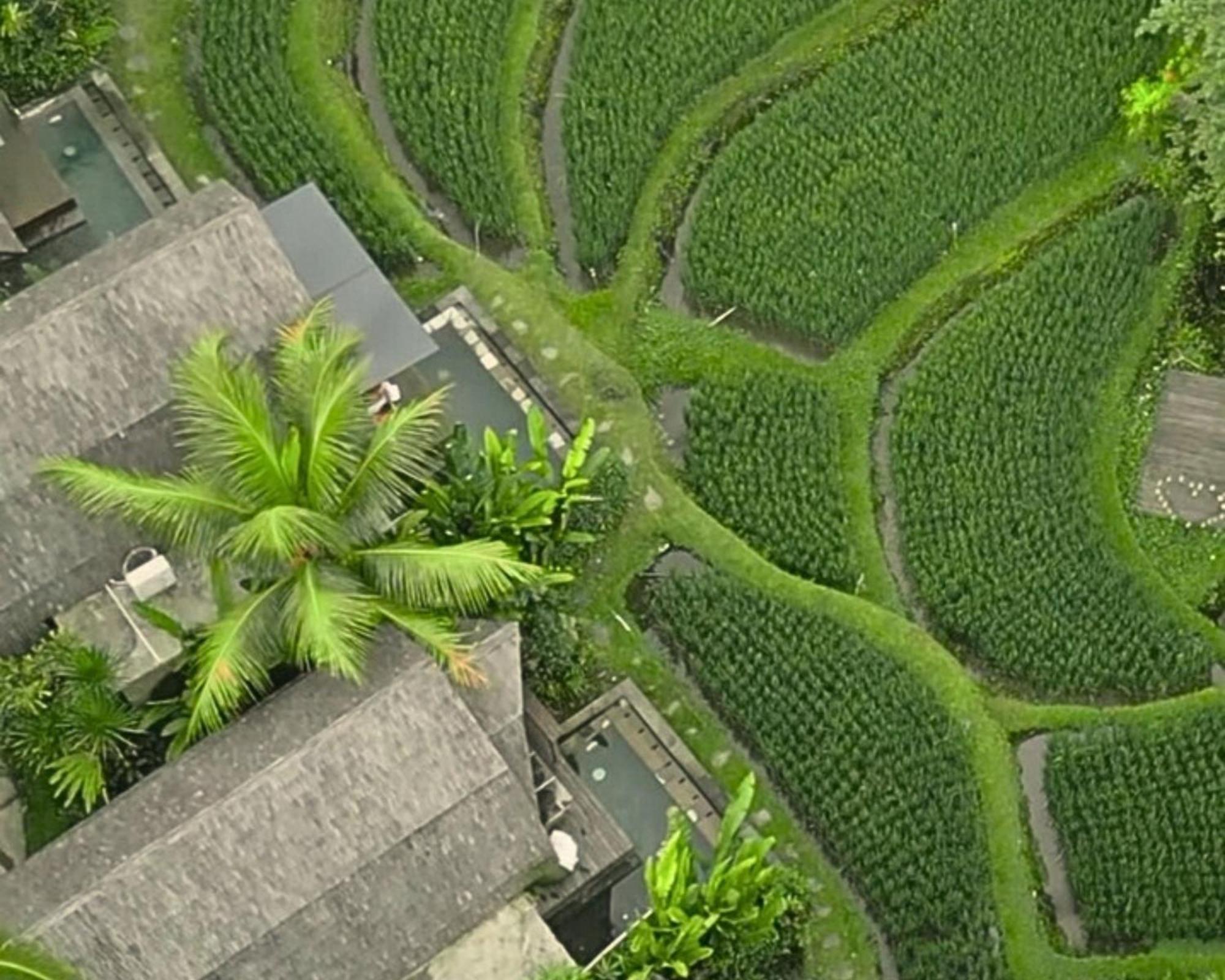 Menzel Ubud Εξωτερικό φωτογραφία